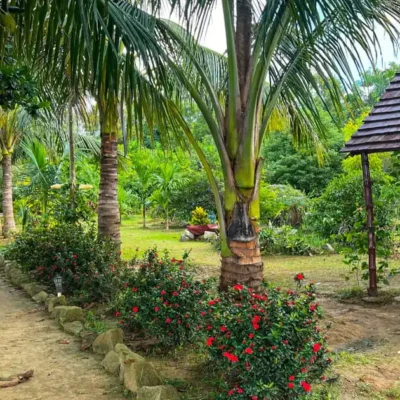 The Unlikely Origin Story of Qrati – Taking Flight in the Jungle